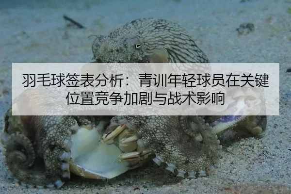 羽毛球签表分析：青训年轻球员在关键位置竞争加剧与战术影响（Kaiyun）
